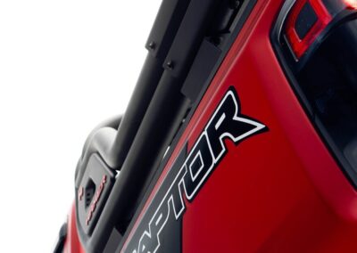 CAMO CARRUSEL RAPTOR 10